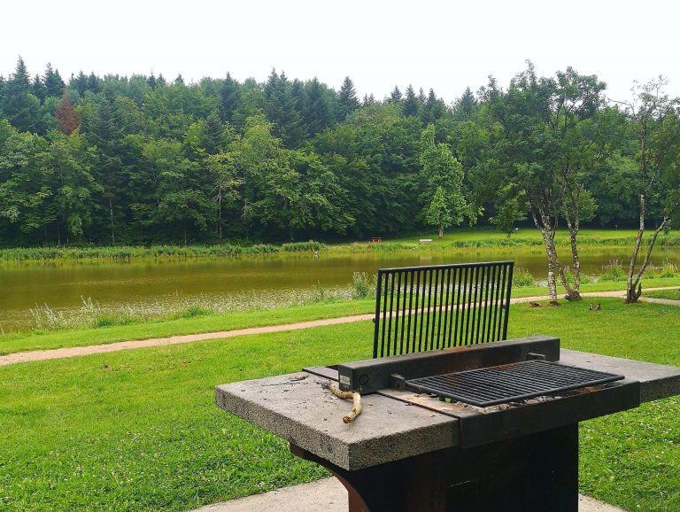 Aire de barbecue du Crapa