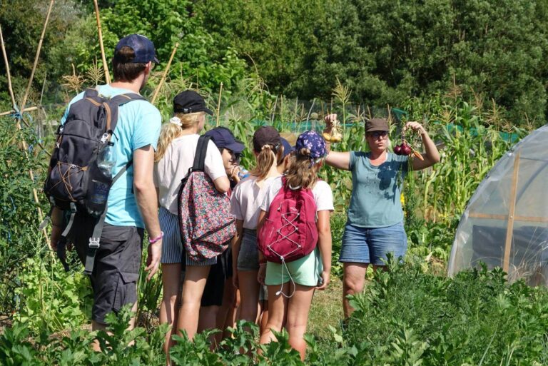La ferme permacole de la P’Thite Marmande en forêt de Tronçais abrite un gîte / Photo par la P’Thite Marmande