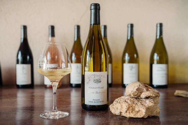 Le pouilly-fumé du Domaine Tinel-Blondelet a obtenu une médaille d’or au dernier concours général agricole de Paris / Photos Romain Liger
