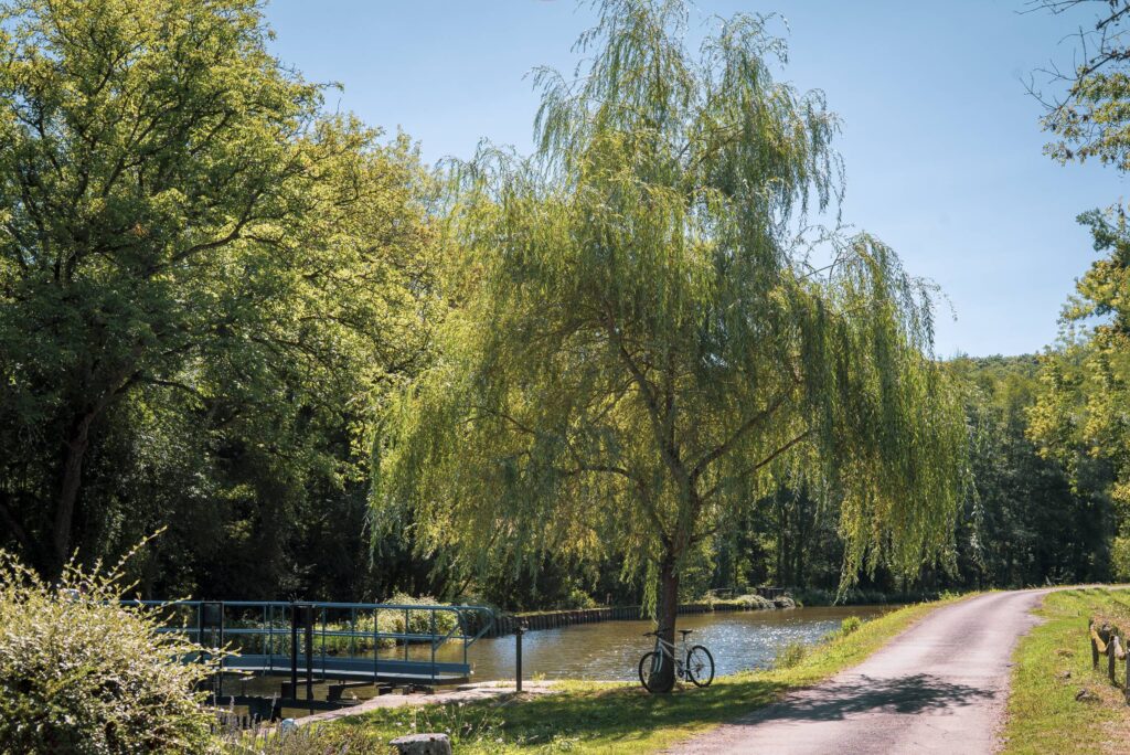 Le canal du Nivernais relie Decize à Auxerre / Photo par Pierre Demaillet