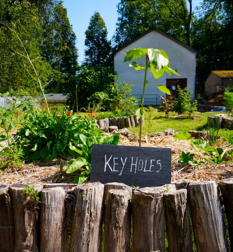 À l’Eco-parc de la Nièvre, ce jardin “keyhole” (trou de serrure) marie compostage, récup’ et plantations pour apprivoiser un sol argilo-calcaire.